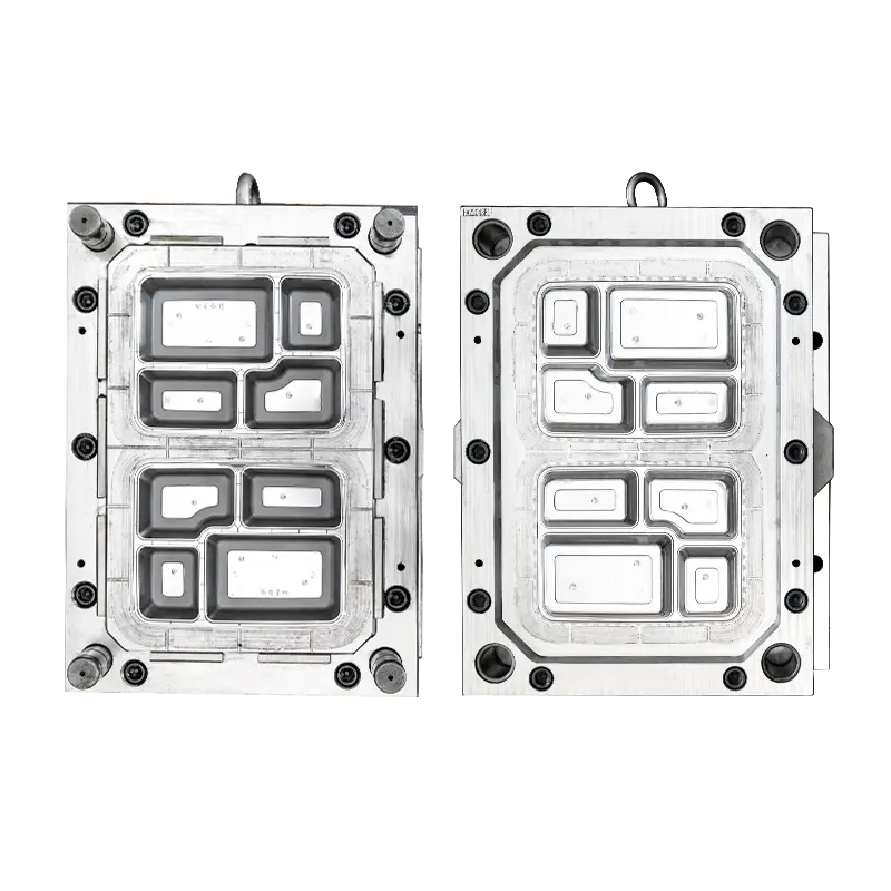2CAV 4-comp container mould