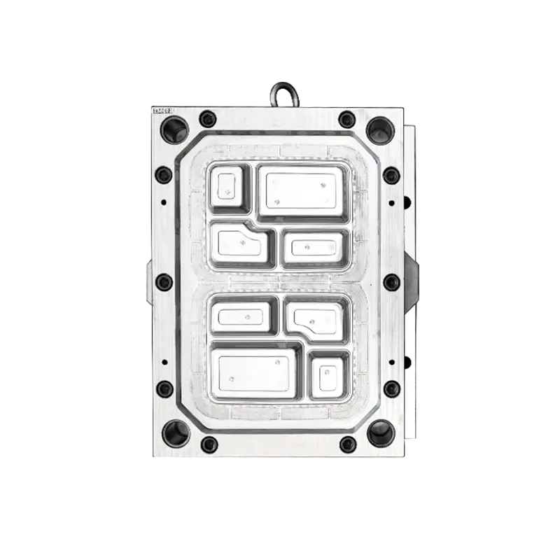 2CAV 4-comp container mould